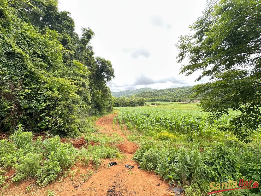Chácara, 10 hectares - Foto 1