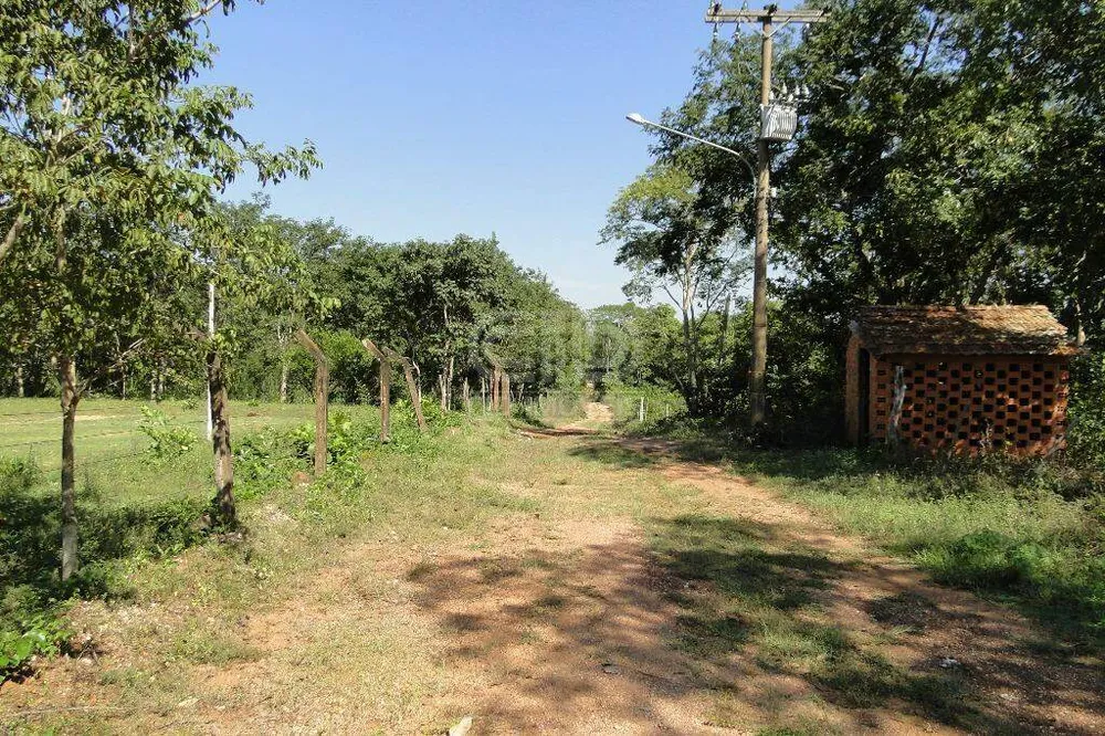 Chácara, 5 quartos, 40 hectares - Foto 11
