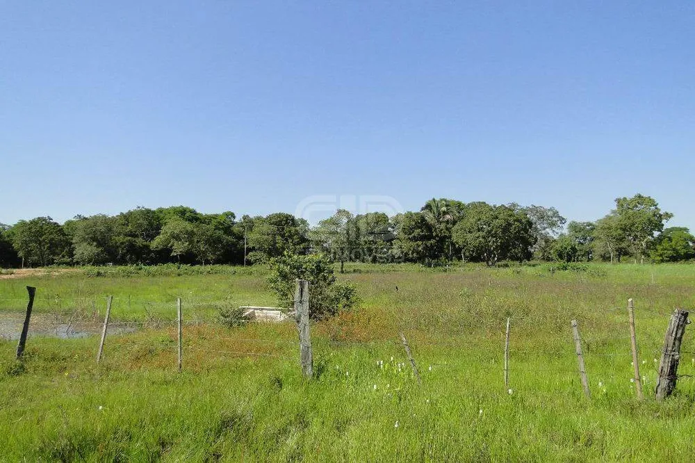 Chácara, 5 quartos, 40 hectares - Foto 15