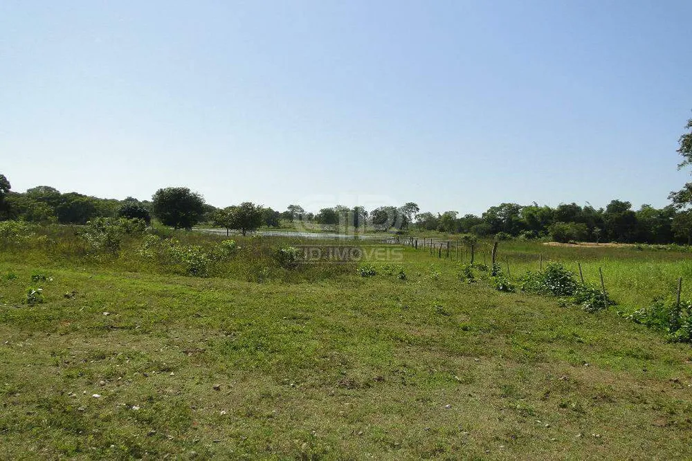 Chácara, 5 quartos, 40 hectares - Foto 14