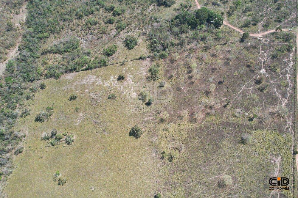 Terreno, 10000 m² - Foto 3