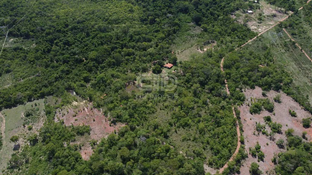 Chácara, 8 hectares - Foto 2