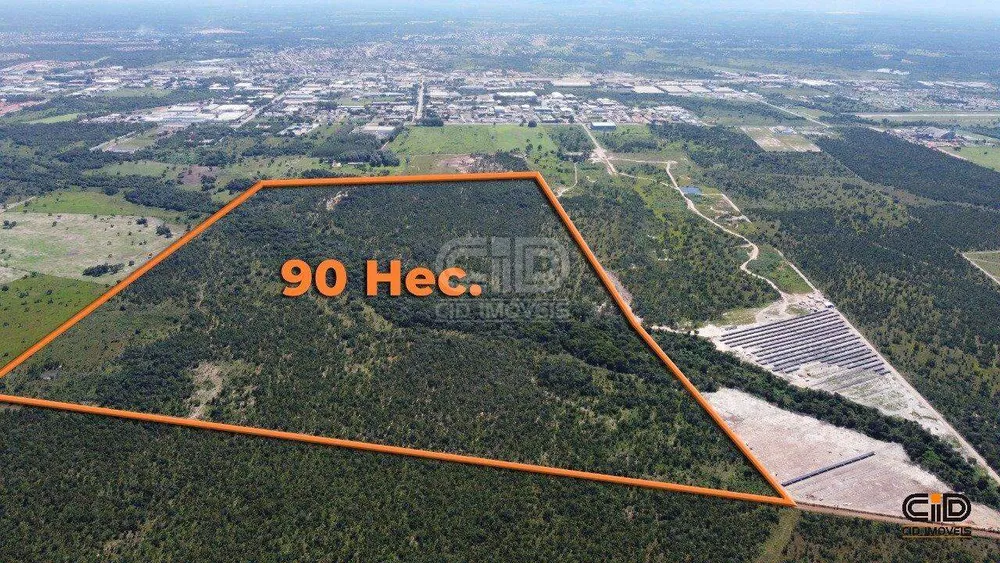 Terreno, 91 hectares - Foto 2