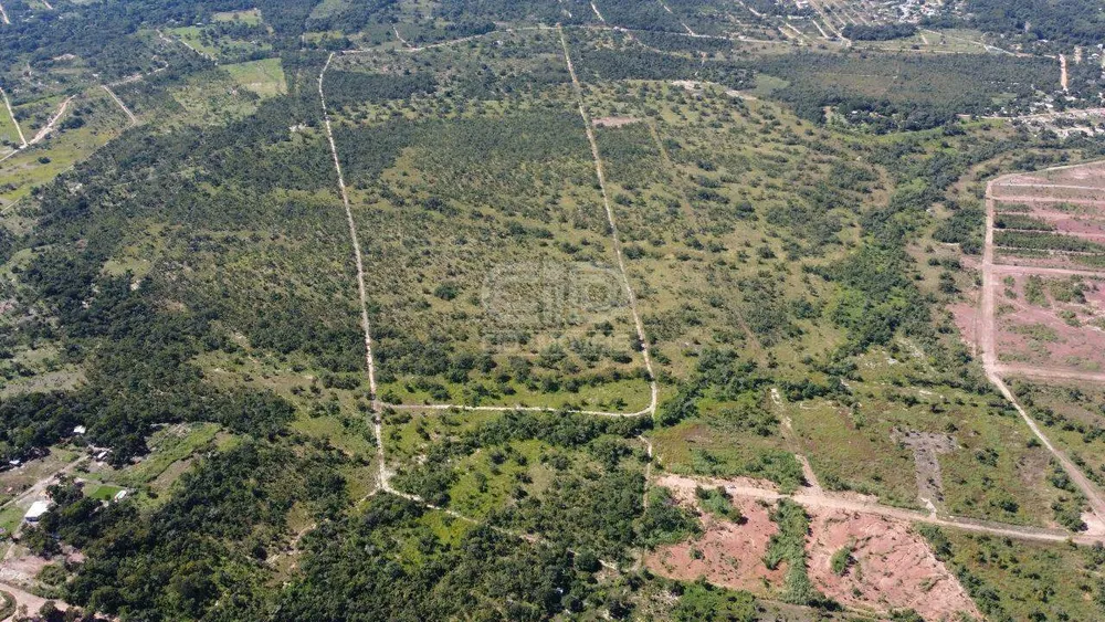 Terreno, 83 hectares - Foto 6