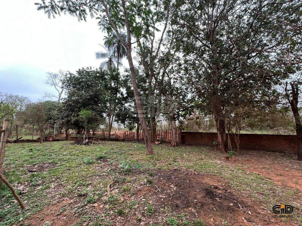 Terreno, 103 hectares - Foto 6