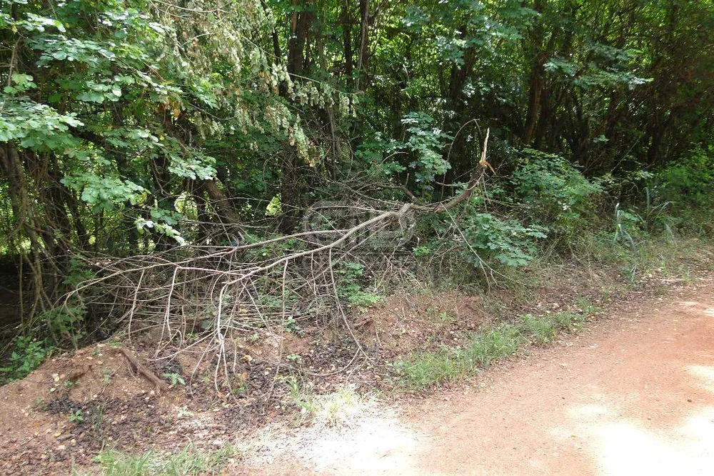 Terreno, 31 hectares - Foto 12