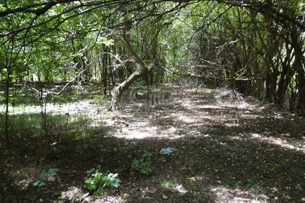 Terreno, 31 hectares - Foto 10