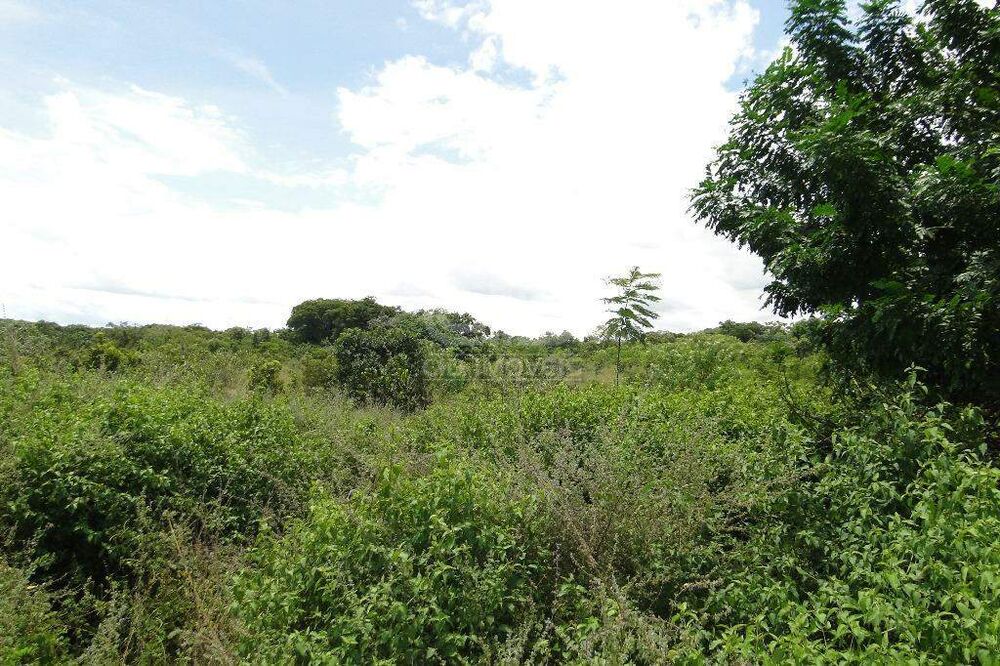 Terreno, 31 hectares - Foto 2