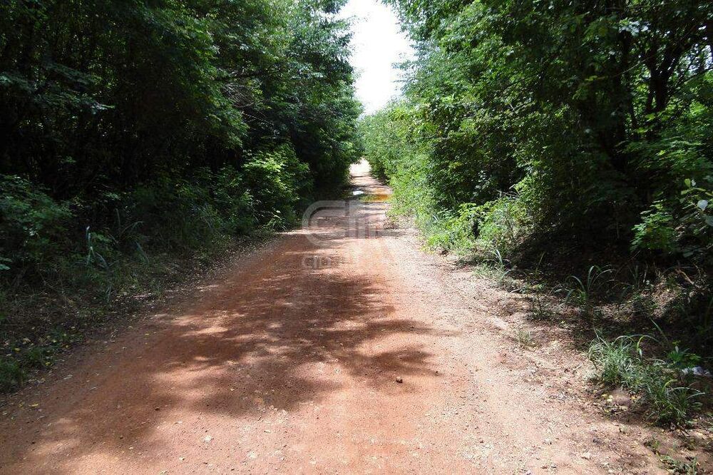 Terreno, 31 hectares - Foto 4