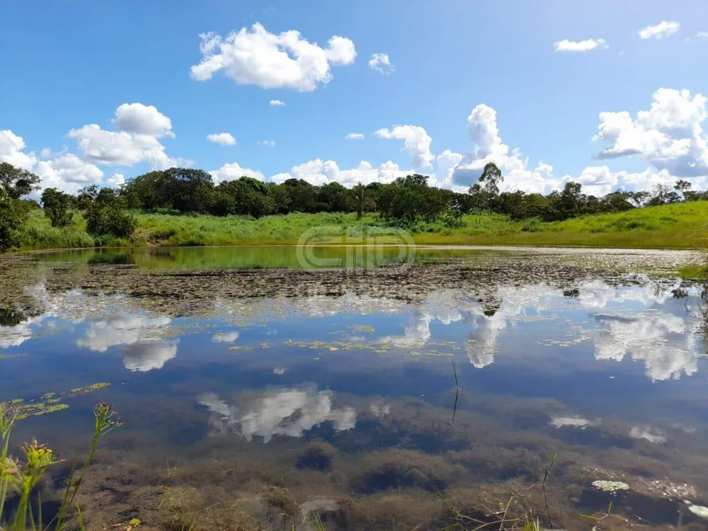 Terreno, 181 hectares - Foto 1