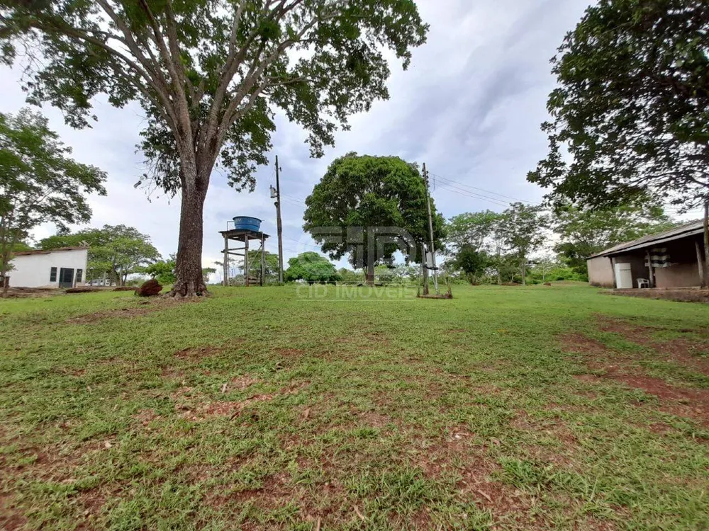 Terreno, 181 hectares - Foto 4