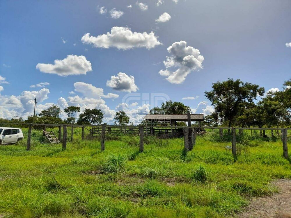 Terreno, 181 hectares - Foto 4