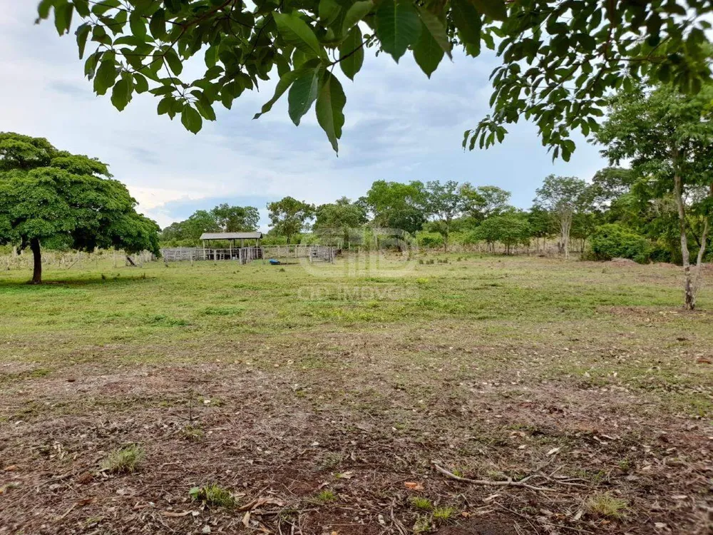 Terreno, 181 hectares - Foto 3