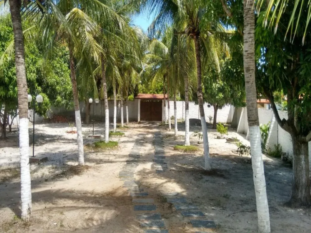 Sítio, 4 quartos, 2016 m² - Foto 2