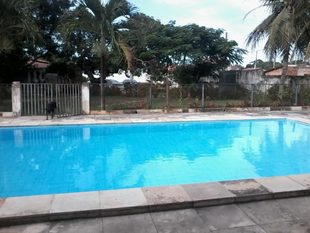 Casa, 4 quartos, 360 m² - Foto 3