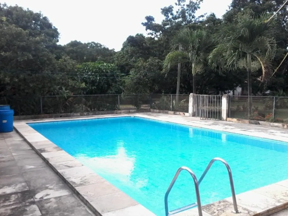 Casa, 4 quartos, 360 m² - Foto 4