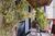 Apartamento, 4 quartos, 163 m² - Foto 13