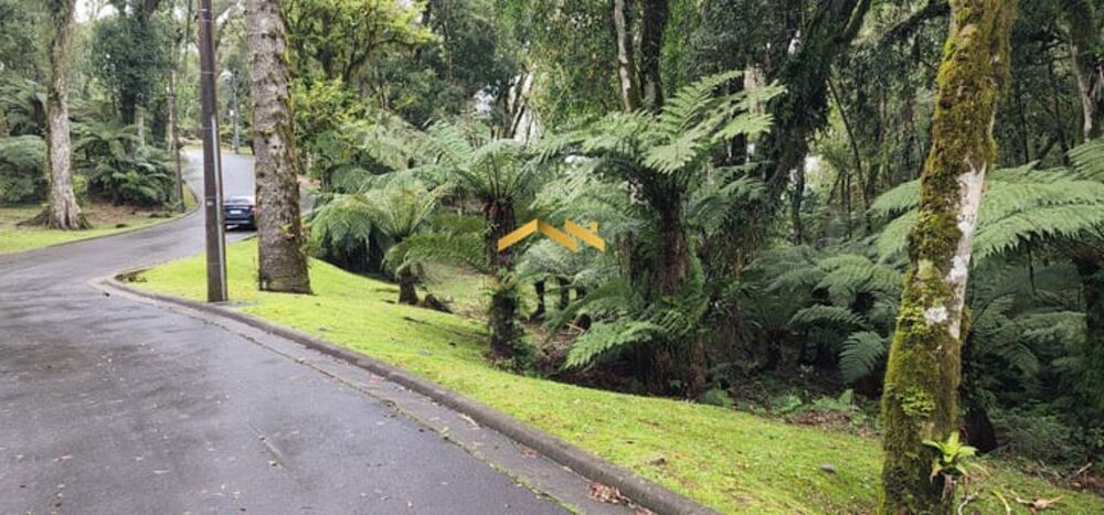 Terreno, 1093 m² - Foto 4