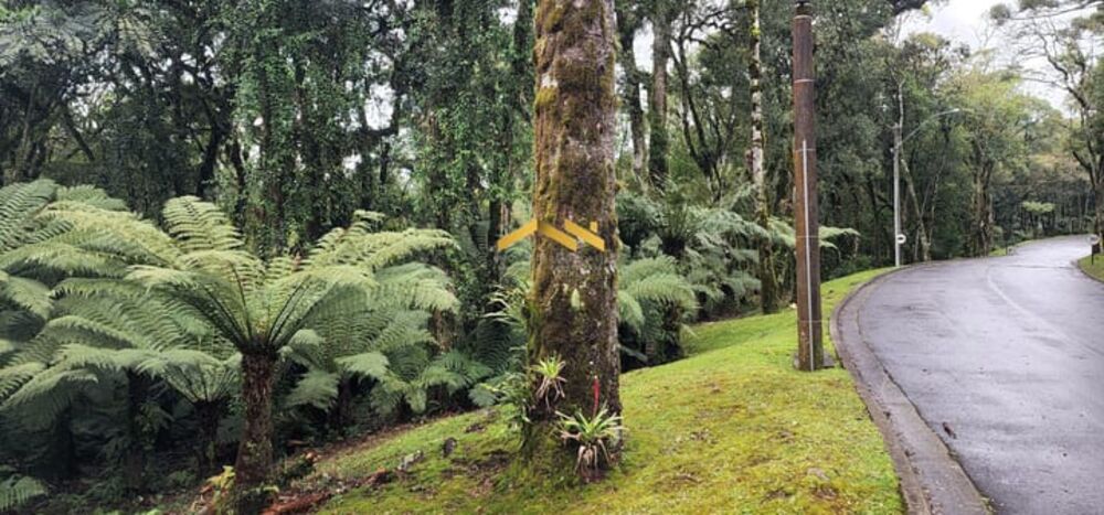 Terreno, 1093 m² - Foto 3