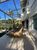 Casa, 3 quartos, 420 m² - Foto 8