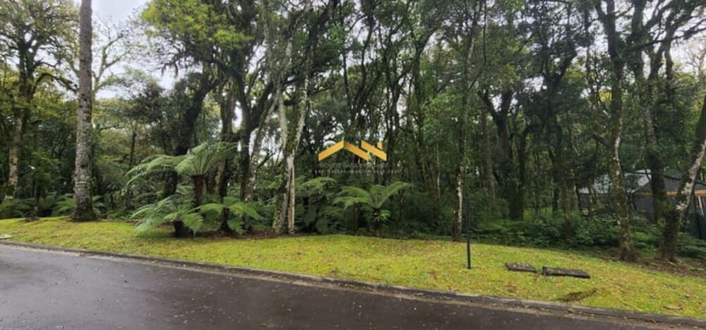 Terreno, 1284 m² - Foto 6