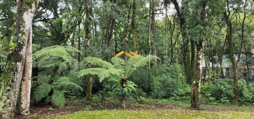 Terreno, 1284 m² - Foto 9