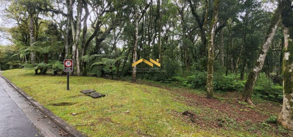 Terreno, 1284 m² - Foto 5