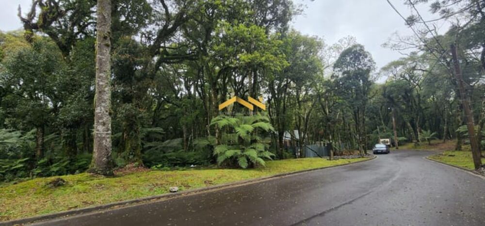 Terreno, 1284 m² - Foto 7