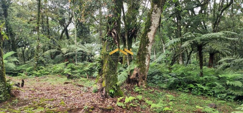 Terreno, 1284 m² - Foto 8