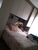 Apartamento, 2 quartos, 58 m² - Foto 8
