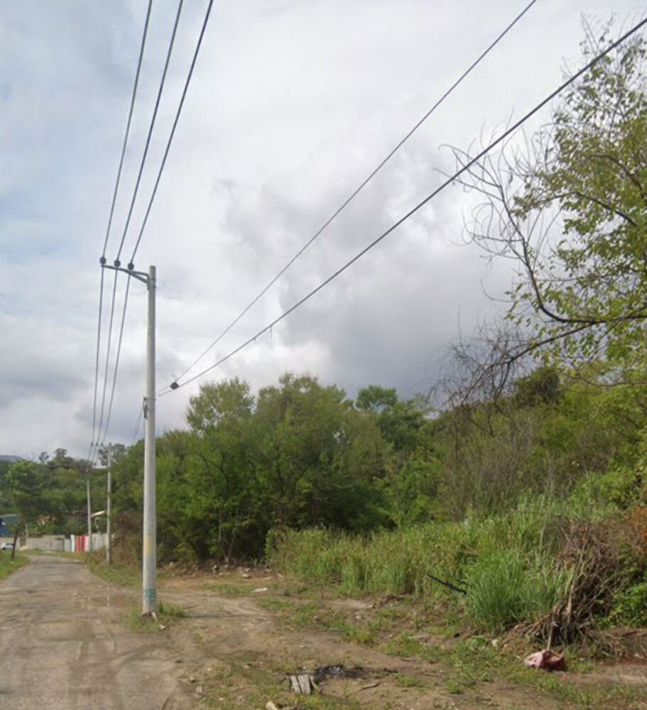 Terreno, 1 hectares - Foto 7