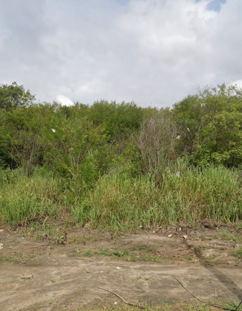 Terreno, 1 hectares - Foto 1