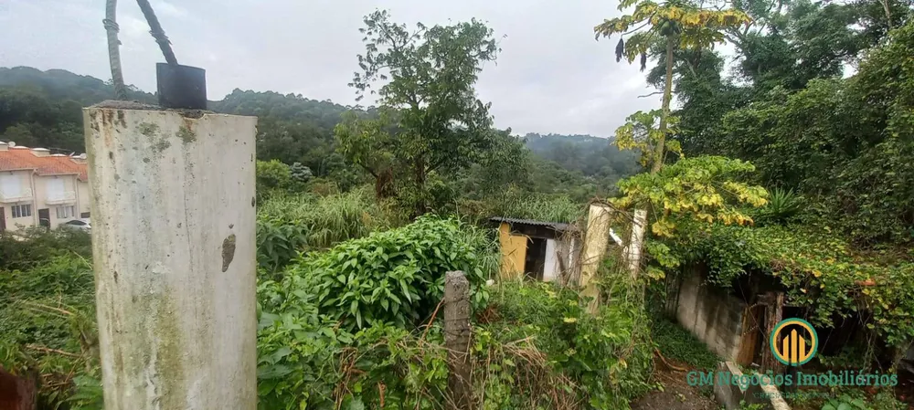 Terreno, 3596 m² - Foto 6