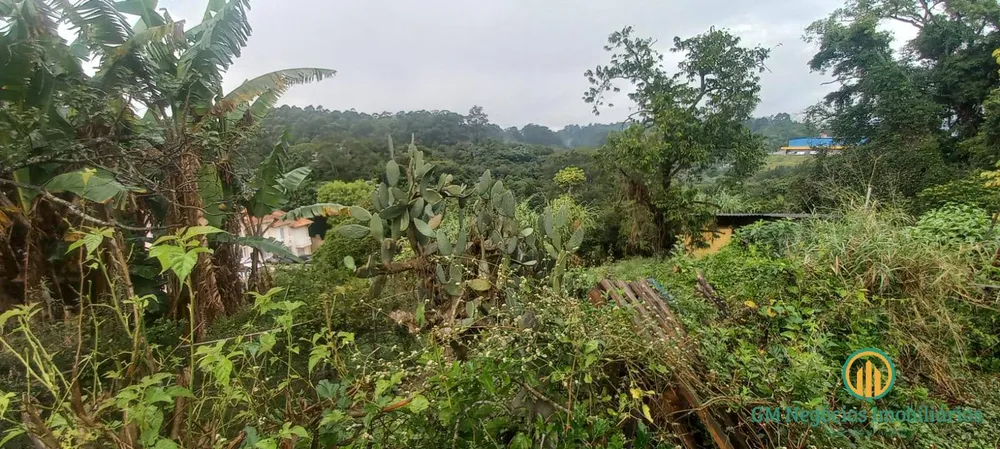 Terreno, 3596 m² - Foto 7