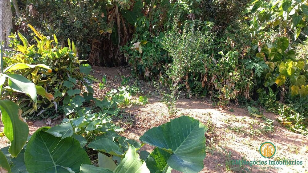 Prédio Inteiro, 200 m² - Foto 4