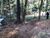 Terreno, 1000 m² - Foto 3