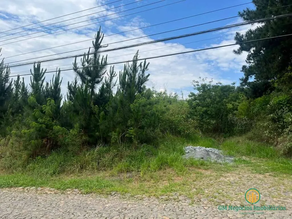 Terreno, 4973 m² - Foto 4