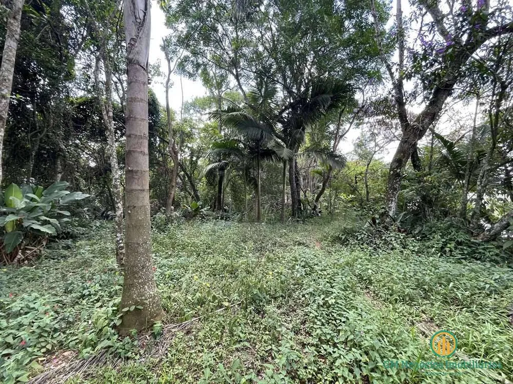 Terreno, 2 hectares - Foto 6