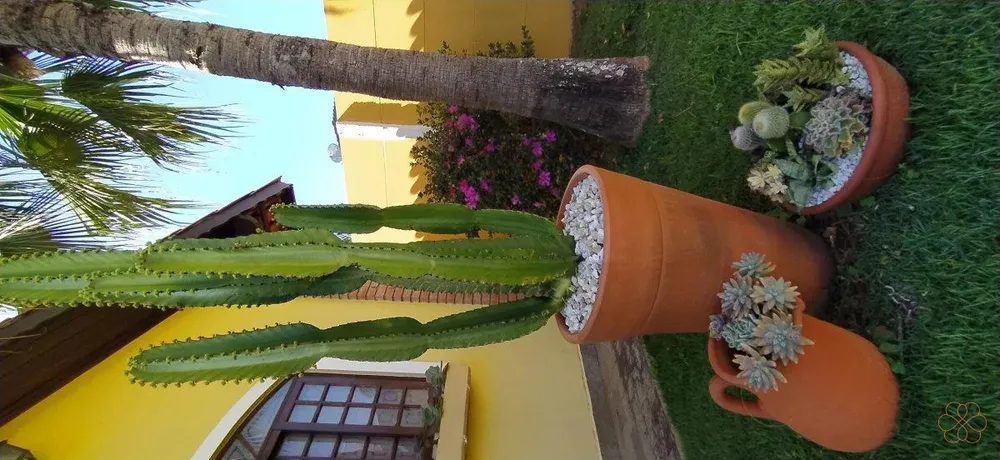 Chácara, 4 quartos - Foto 6