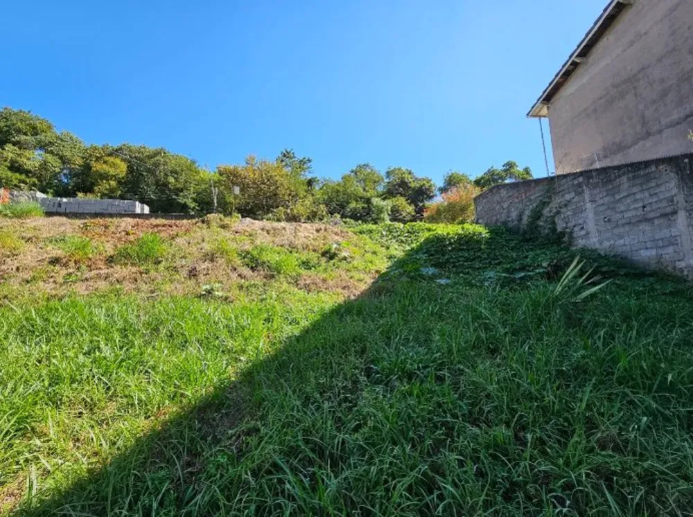 Terreno, 335 m² - Foto 3