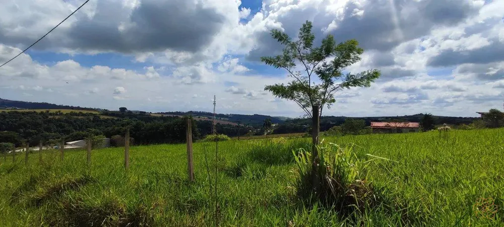 Terreno, 8300 m² - Foto 4