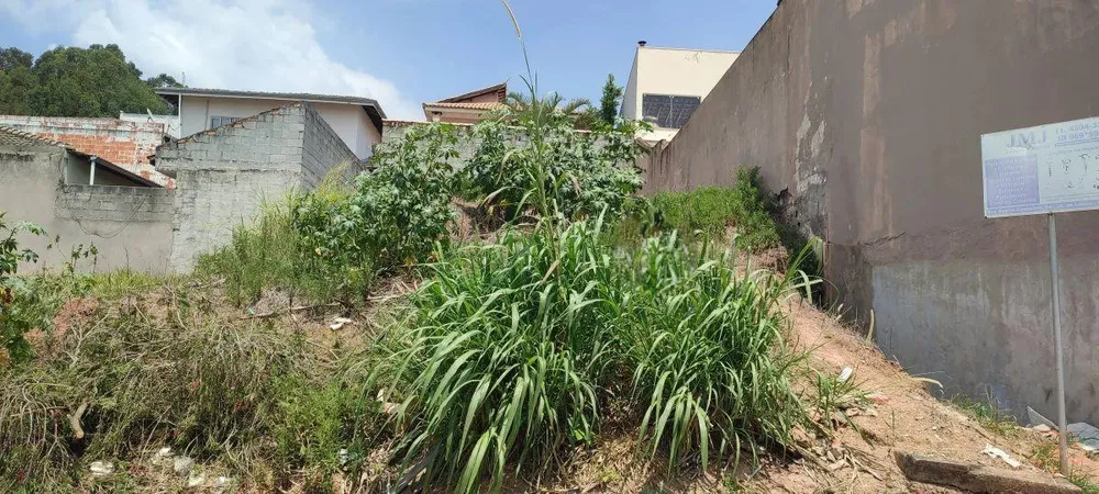 Terreno, 250 m² - Foto 3