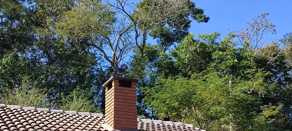 Chácara, 5 quartos - Foto 5