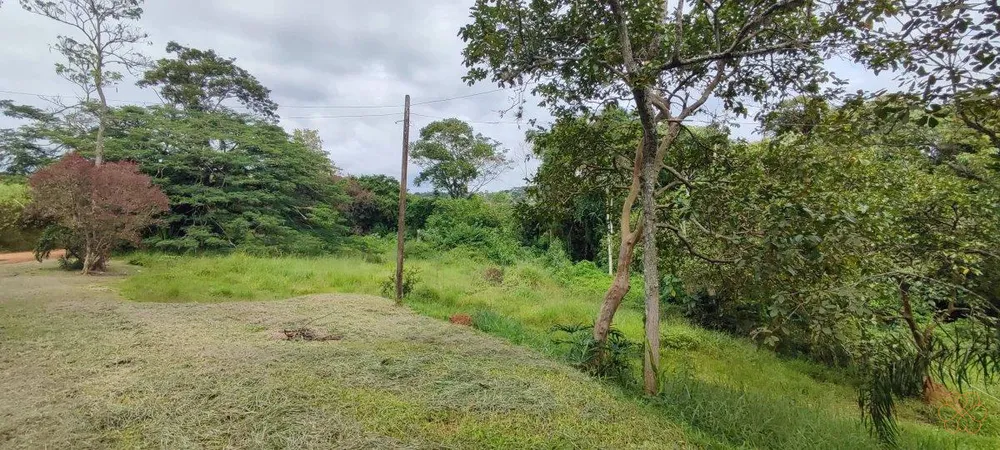 Sítio, 3 quartos, 24254 m² - Foto 8