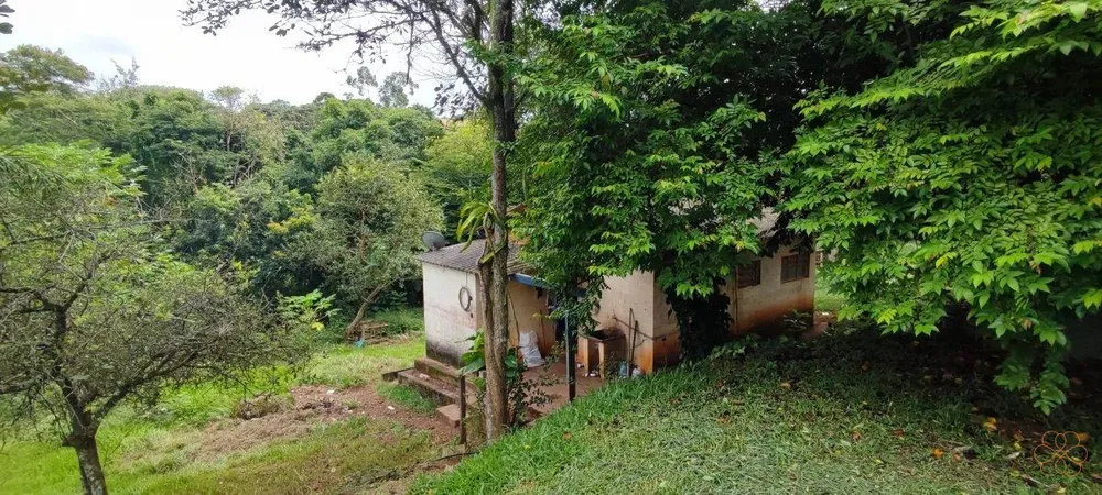 Sítio, 3 quartos, 24254 m² - Foto 5