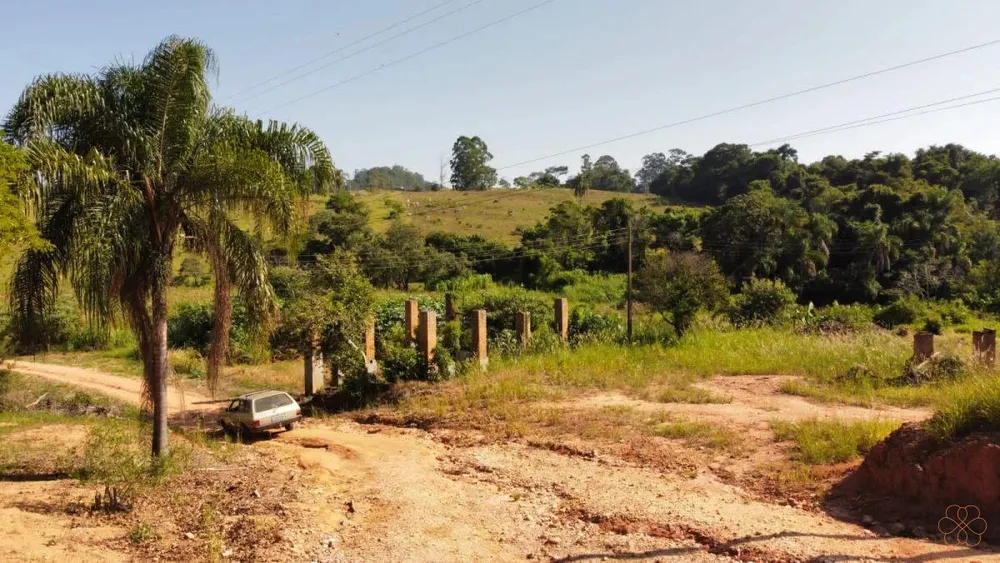 Terreno, 38 hectares - Foto 7