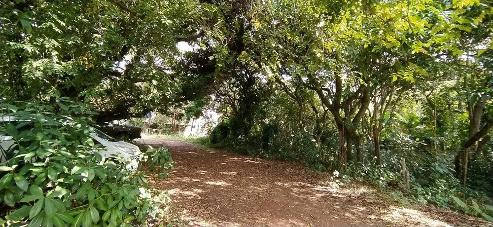 Terreno, 5 m² - Foto 3
