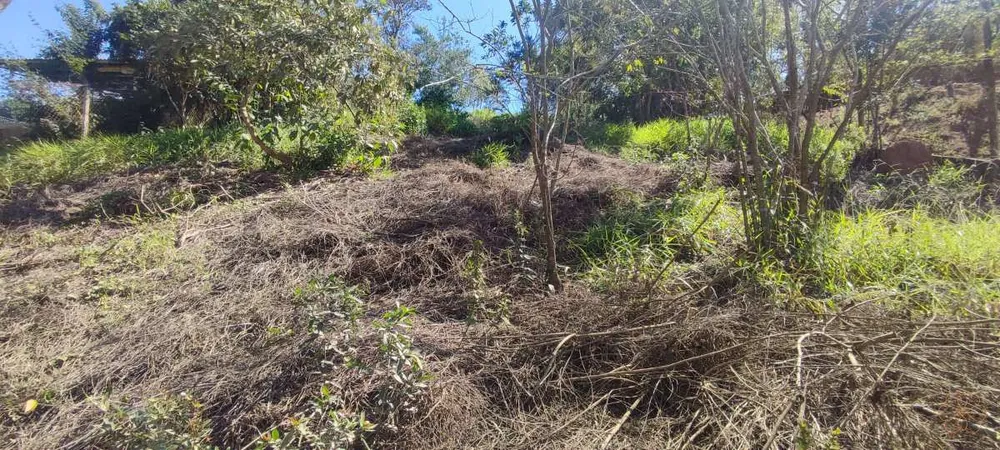 Terreno, 1000 m² - Foto 4