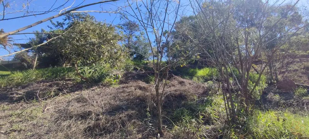 Terreno, 1000 m² - Foto 6