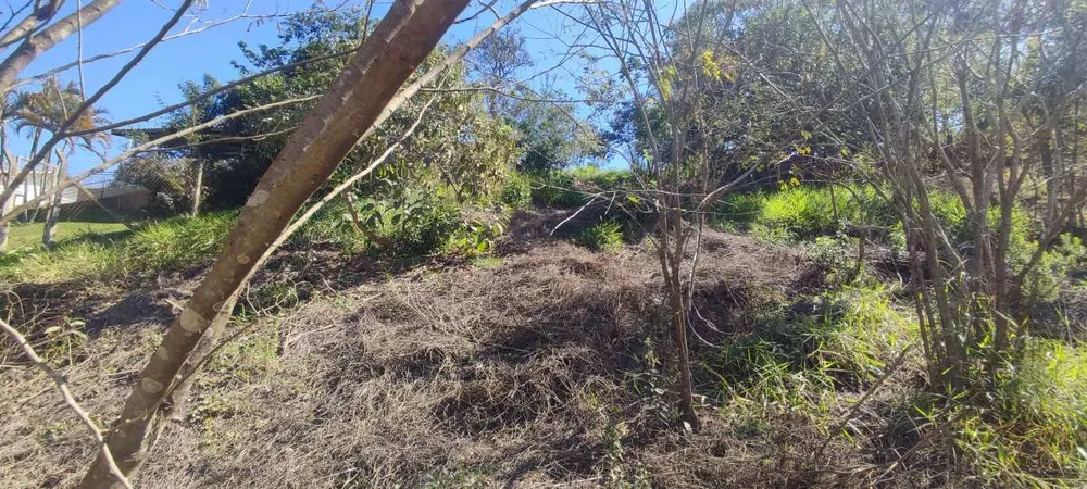 Terreno, 1000 m² - Foto 5